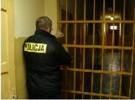 policja_kratki